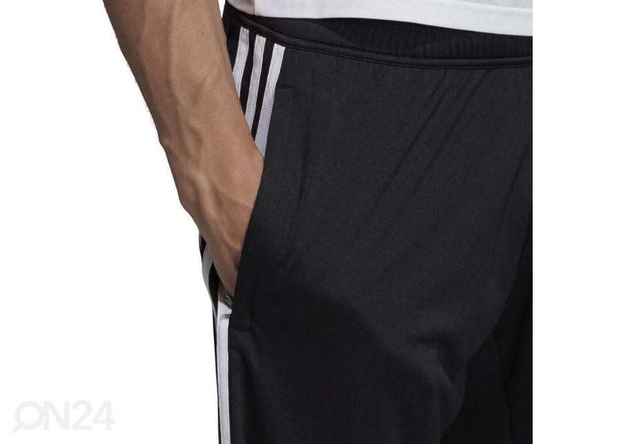 Lühikesed püksid meestele Adidas Tiro 19 Training Short M suurendatud