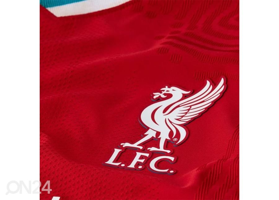 Meeste jalgpallisärk Nike Liverpool FC Vapor Home suurendatud