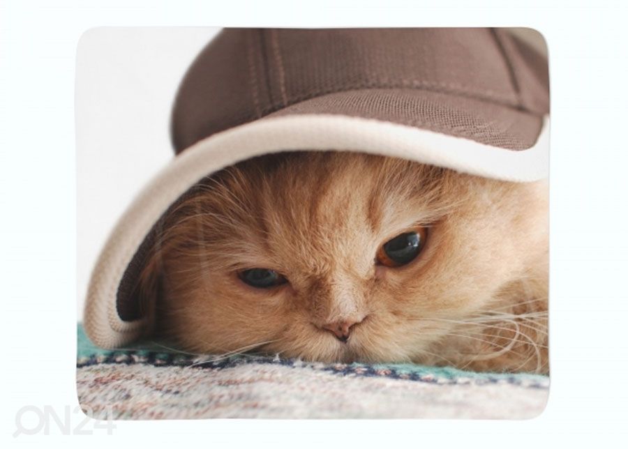 Pleed Cat in the Hat 150x200cm suurendatud