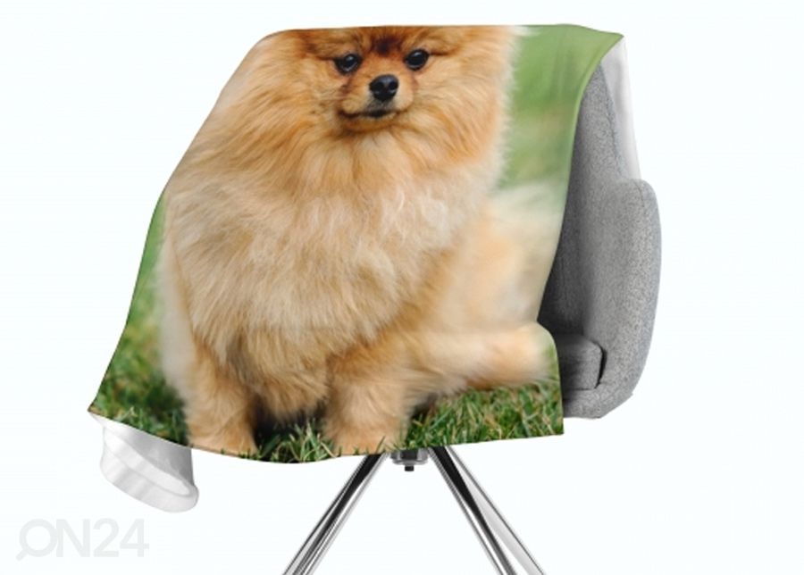 Pleed Pomeranian Dog 130x150 cm suurendatud