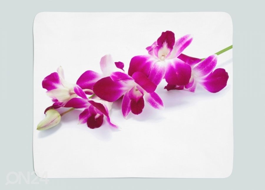 Pleed Purple-Crimson Orchid 150x200 cm suurendatud