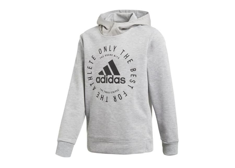 Pusa lastele adidas Sport ID HD Junior DV1701 suurendatud