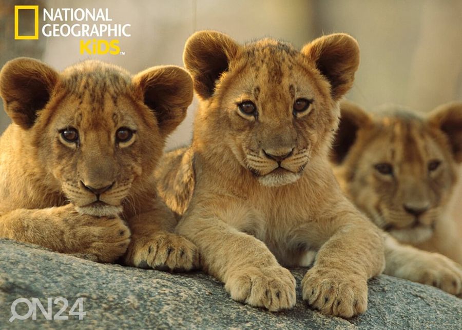 Pusle 3D Aafrika lõvid 63 tk suurendatud