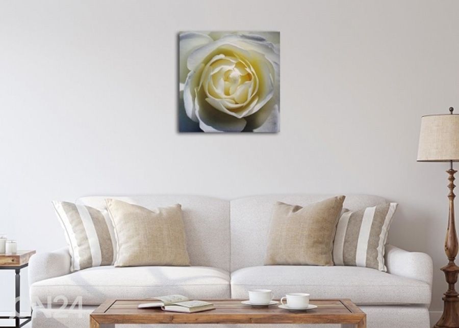 Seinapilt White rose 3D 30x30 cm suurendatud