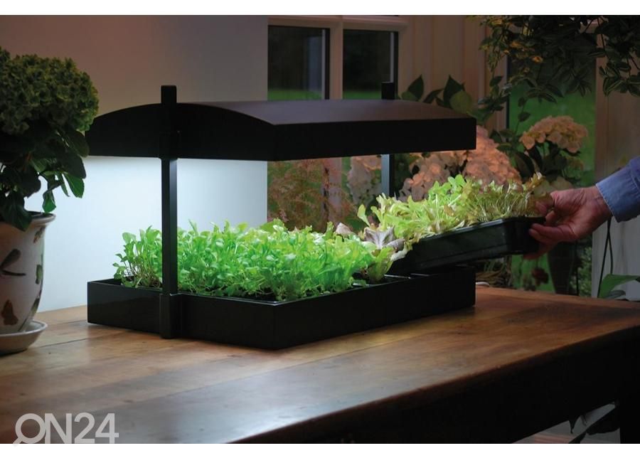 Valgustusega ettekasvatuskast Micro Grow Light Garden 11 W, must suurendatud