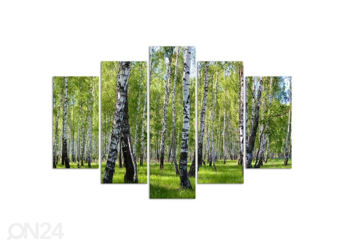 Viieosaline seinapilt Birch trees 150x100 cm suurendatud