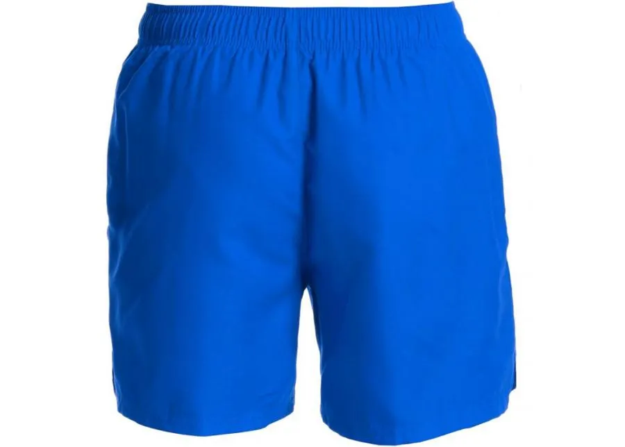 Meeste ujumisshortsid Nike Essential M NESSA560 494 suurendatud