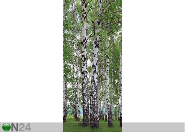 Fliis-fototapeet Birch grove 90x202 cm