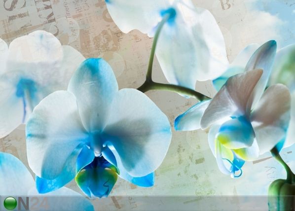 Fliis-fototapeet Blue flowers 360x270 cm