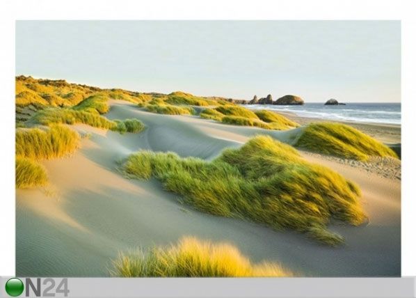 Fliis fototapeet Dunes and grasses at the sea