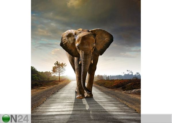 Fliis-fototapeet Elephant 180x202 cm