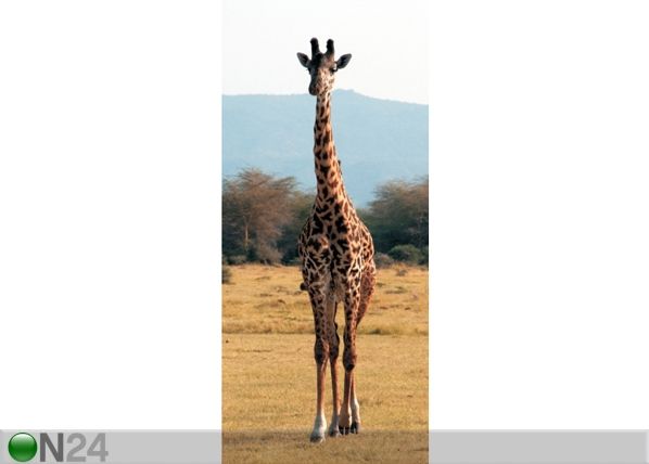 Fliis-fototapeet Giraffe 2 90x202 cm