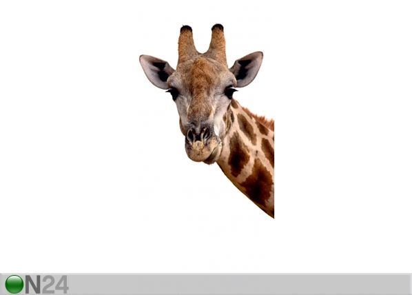 Fliis-fototapeet Giraffe 90x202 cm