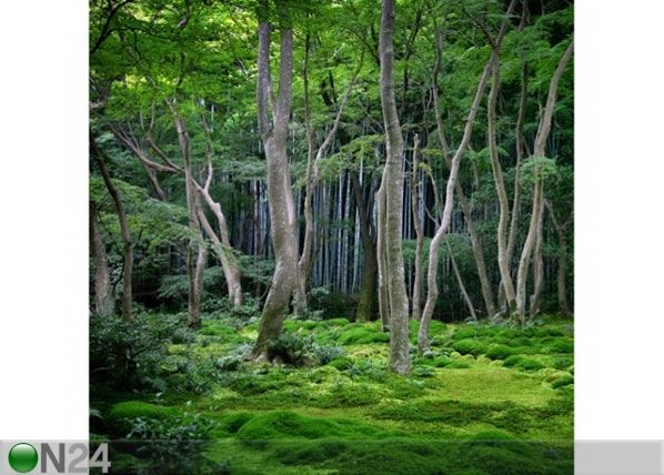 Fliis fototapeet Japanese Forest