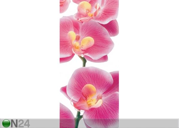 Fliis-fototapeet Pink orchids 90x202 cm
