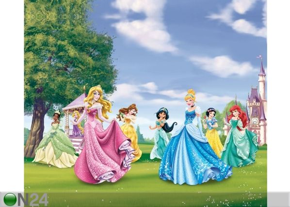 Fotokardin Disney Princess 280x245 cm