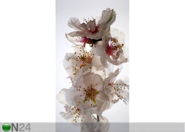 Fotokardin Flowers 140x245 cm