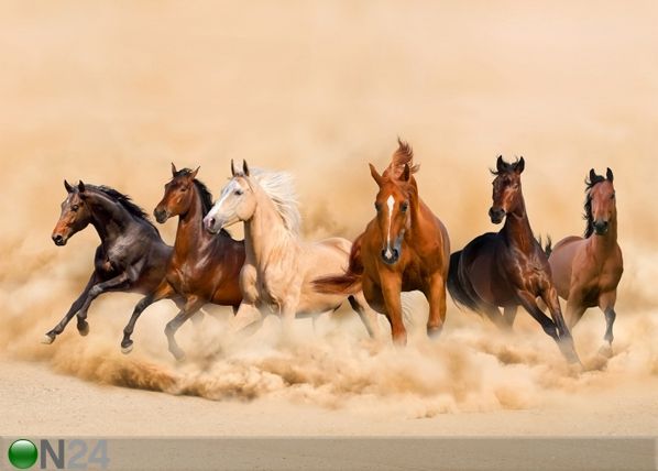Fotokardin Herd of horses 280x245 cm