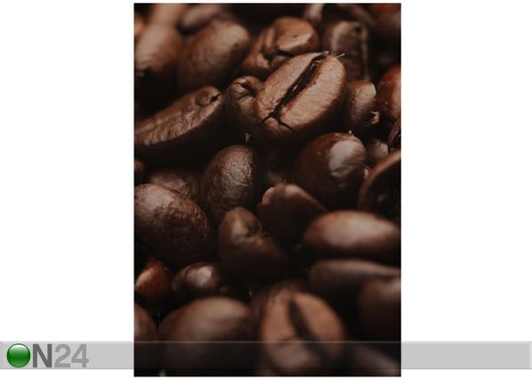 Fototapeet Coffee Arabica 200x280 cm
