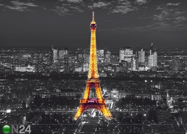 Fototapeet Eiffel Tower at night 360x254 cm