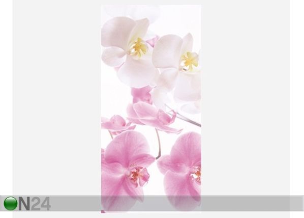 Fototapeet Graceful orchids 100x210 cm