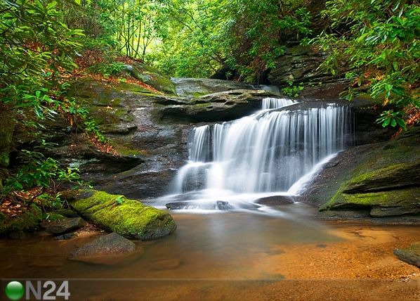 Fototapeet Waterfall 360x254 cm