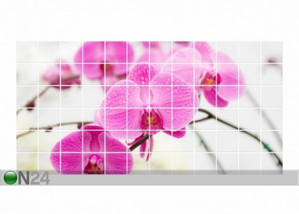 Kleebised seinaplaatidele Close-up of orchid 60x120 cm