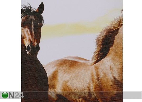 Viieosaline seinapilt Horse & Sunset 160x60 cm