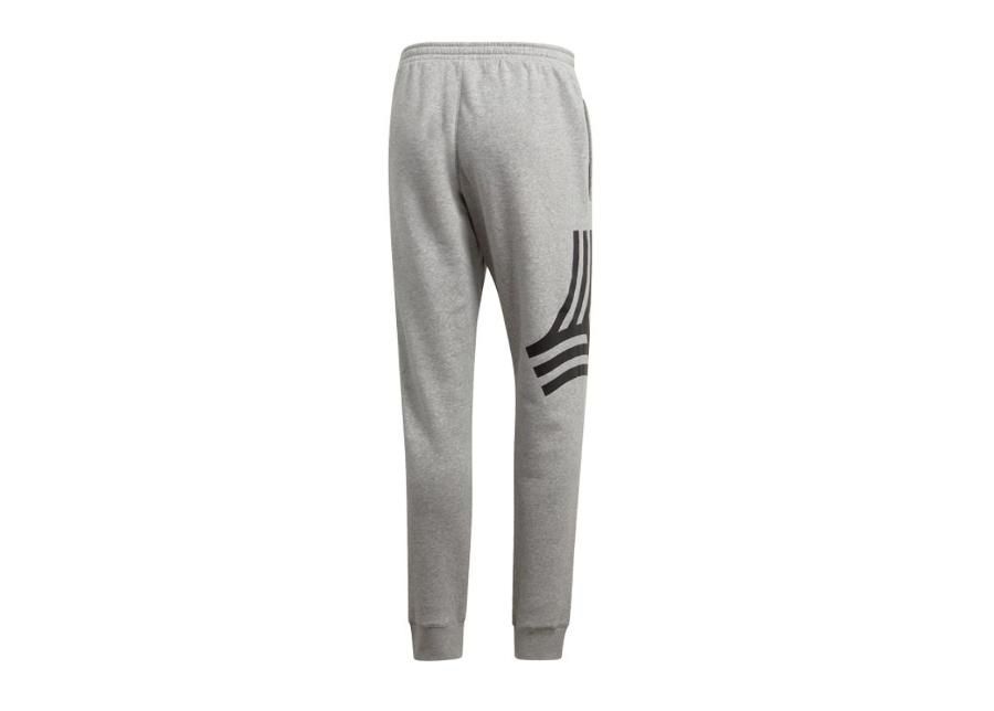 Dressipüksid meestele adidas Tango Graphic Sweat Joggers M DP2695 suurendatud