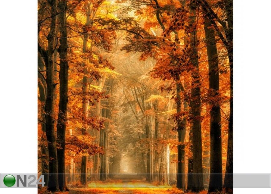 Fliis fototapeet Fairy Forest in Autumn suurendatud