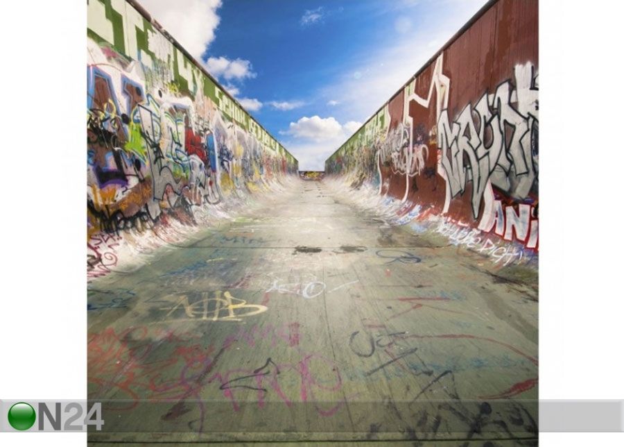 Fliis fototapeet Skate Graffiti suurendatud