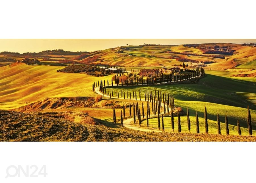 Fliis fototapeet Tuscany 150x250 cm suurendatud
