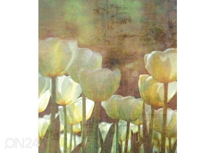 Fliis fototapeet White Tulips Abstract 150x250 cm suurendatud
