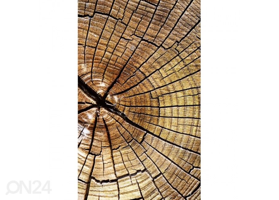 Fliis fototapeet Wood 150x250 cm suurendatud