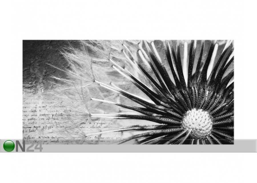 Fotoklaas, köögi tagasein Dandelion Black & White 1 40x60 cm suurendatud