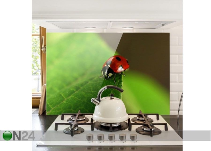 Fotoklaas, köögi tagasein Ladybird 40x60 cm suurendatud