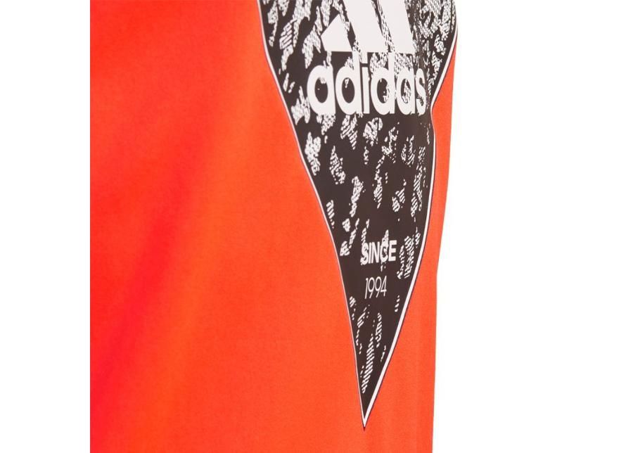 Jalgpallisärk lastele adidas Predator T-shirt JR DV1335 suurendatud