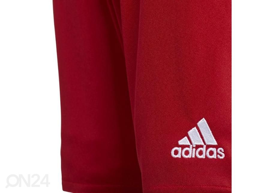 Laste jalgpalli lühikesed püksid Adidas Parma 16 Jr AJ5893 suurendatud