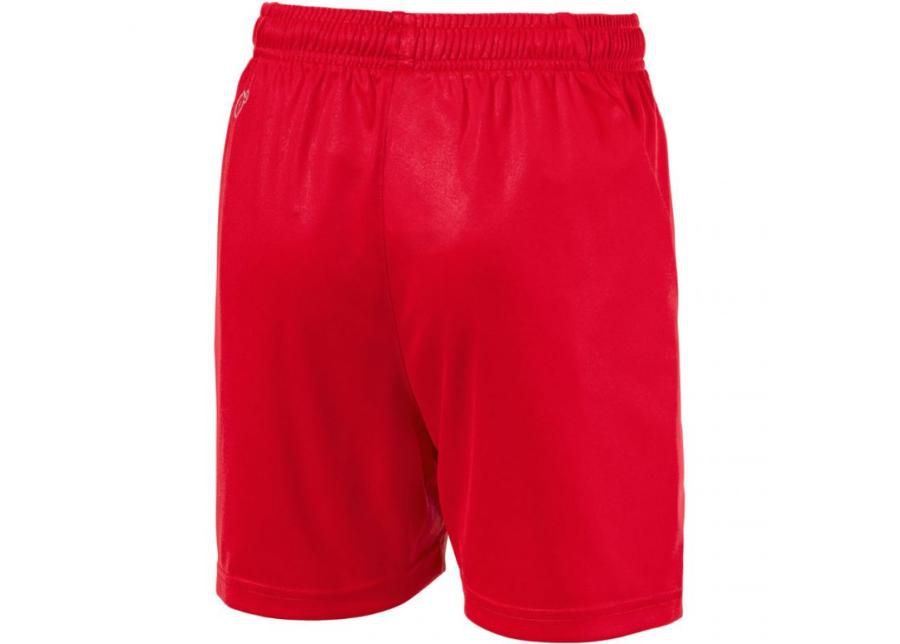 Laste jalgpalli lühikesed püksid Puma Liga Shorts Core JR 703437 01 suurendatud