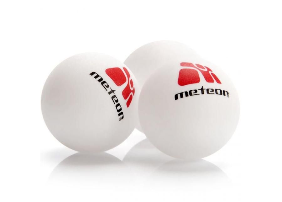 Lauatennise komplekt Meteor Rollnet 2 reketit 3 palli ja võrk suurendatud