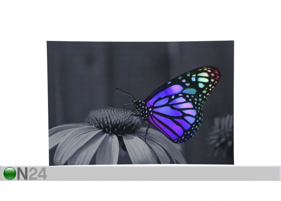 LED pilt Changing Butterfly 60x40 cm suurendatud