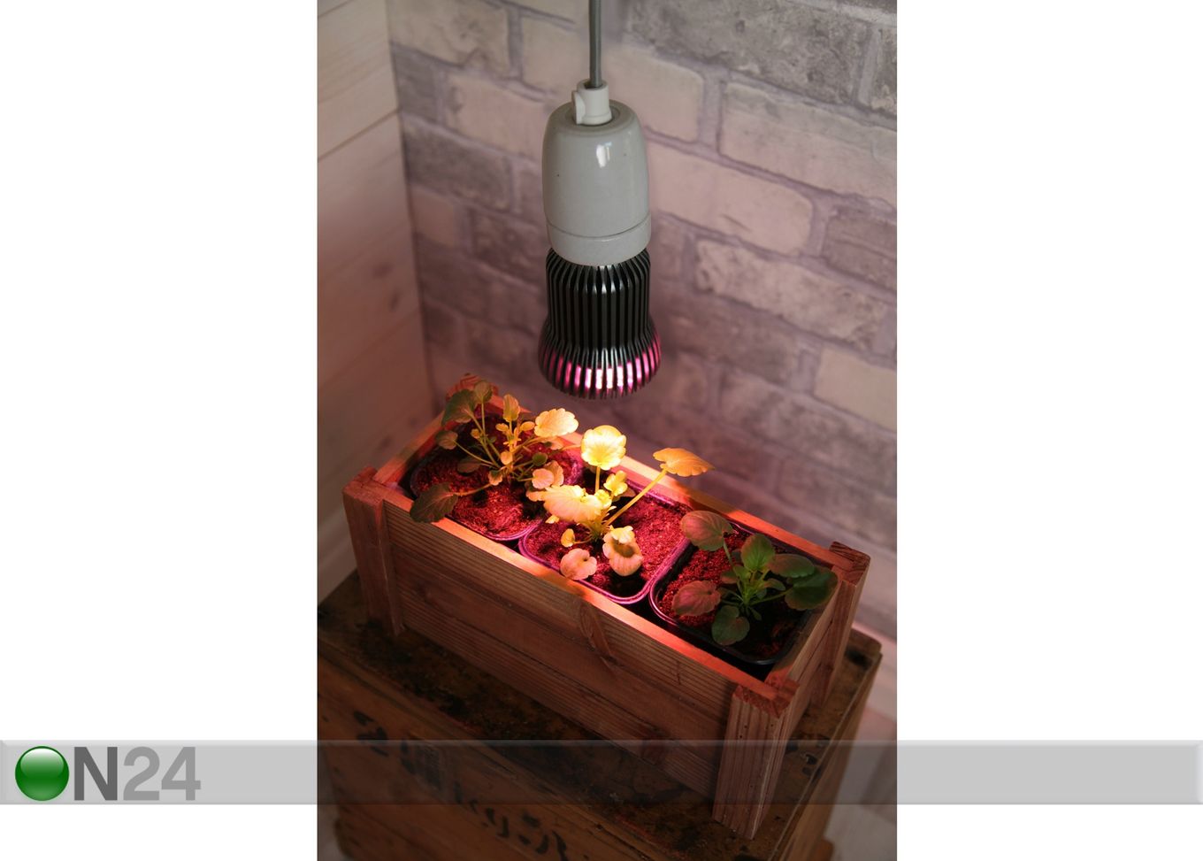 LED valgustus taimede kasvuks suurendatud