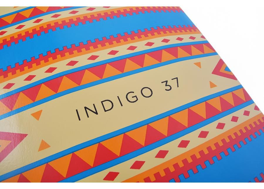 Longboard Indigo 37 Tempish suurendatud