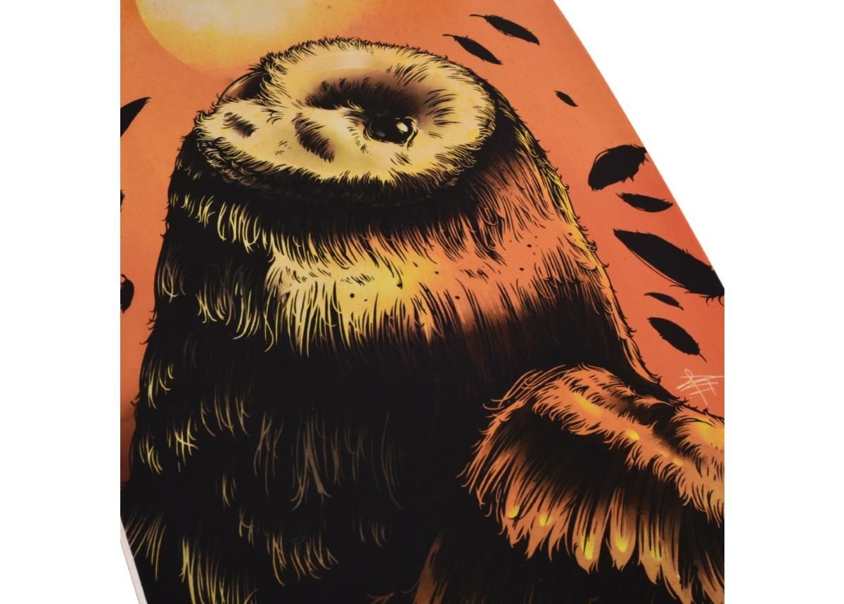Longboard Street Surfing Freeride Owl 36” suurendatud