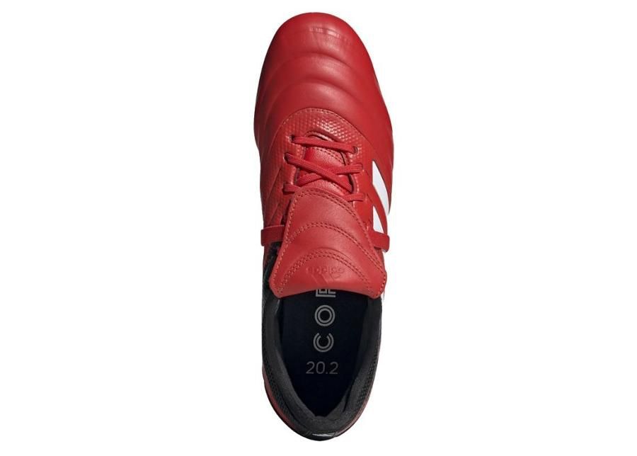 Meeste jalgpallijalatsid muru adidas Copa Gloro 20.2 FG M G28629 suurendatud