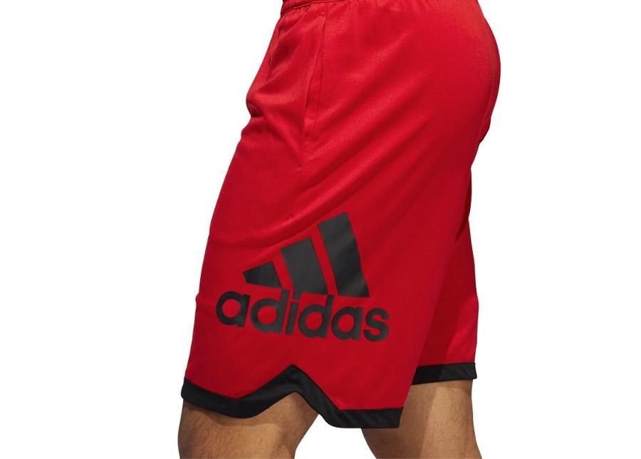 Meeste korvpalli lühikesed püksid Adidas Badge of Sport M DX6744 suurendatud