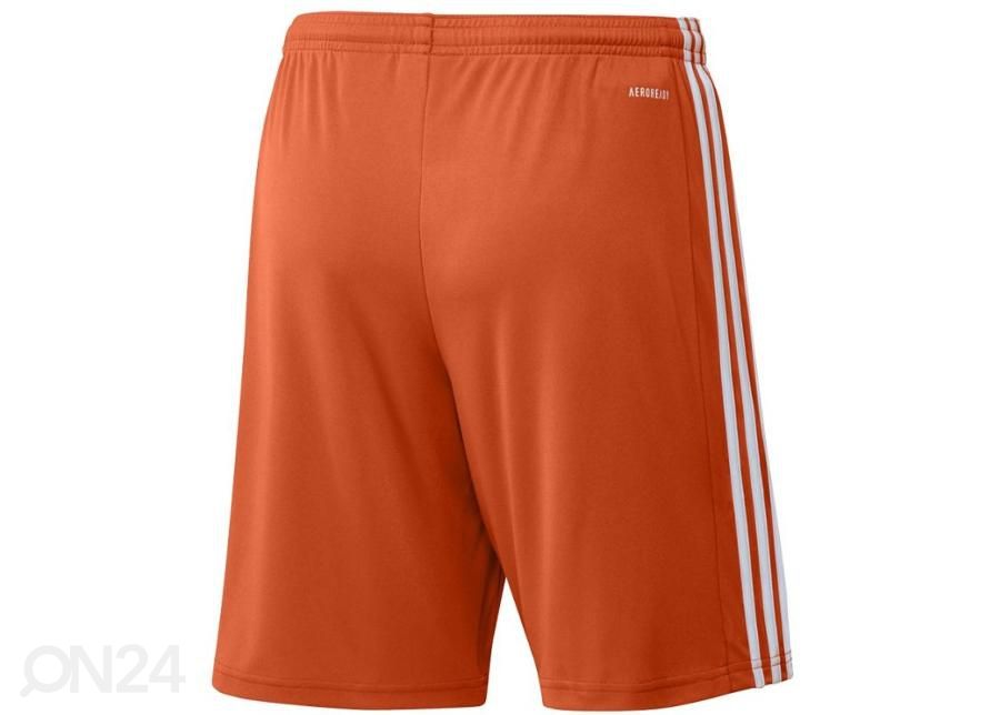 Meeste lühikesed jalgpallipüksid Adidas Squadra 21 Short suurendatud