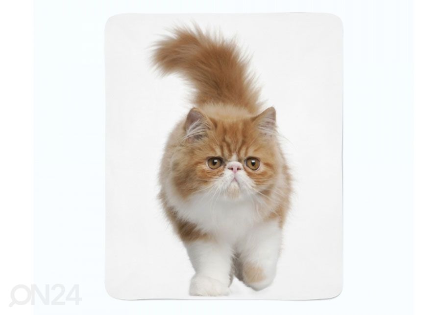 Pleed Fluffy Cat 130x150 cm suurendatud
