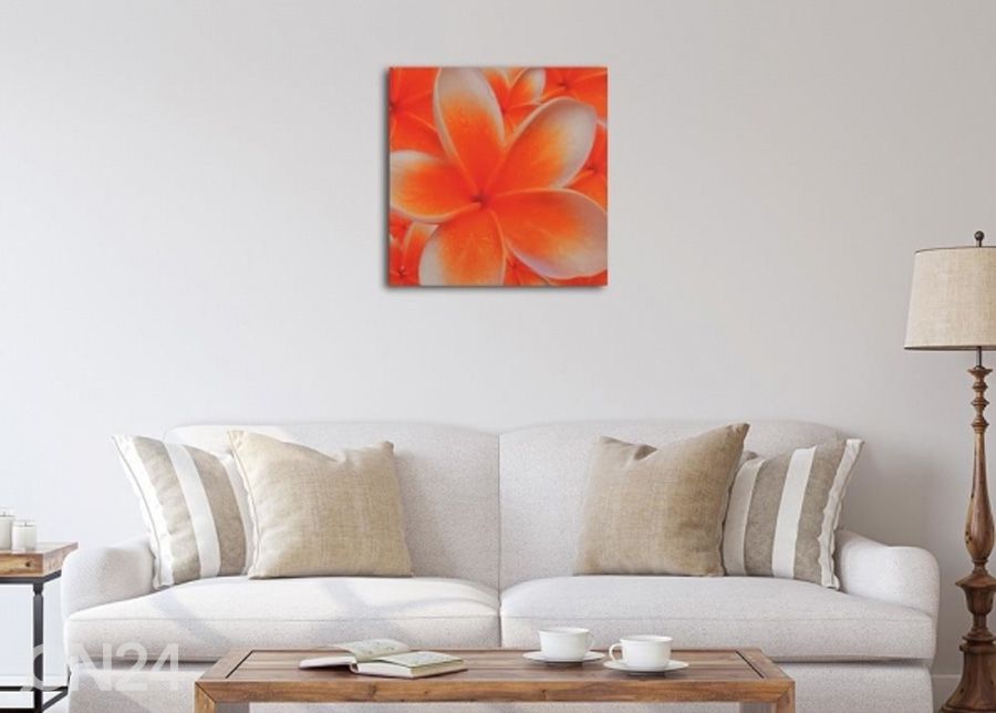 Seinapilt Frangipani flower 1 3D 30x30 cm suurendatud