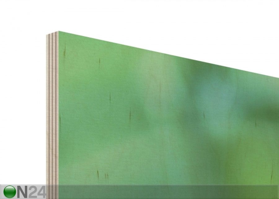 Seinapilt puidul Green Ambiance II suurendatud